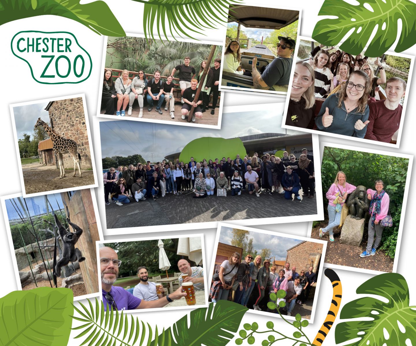 Our Chester Zoo trip